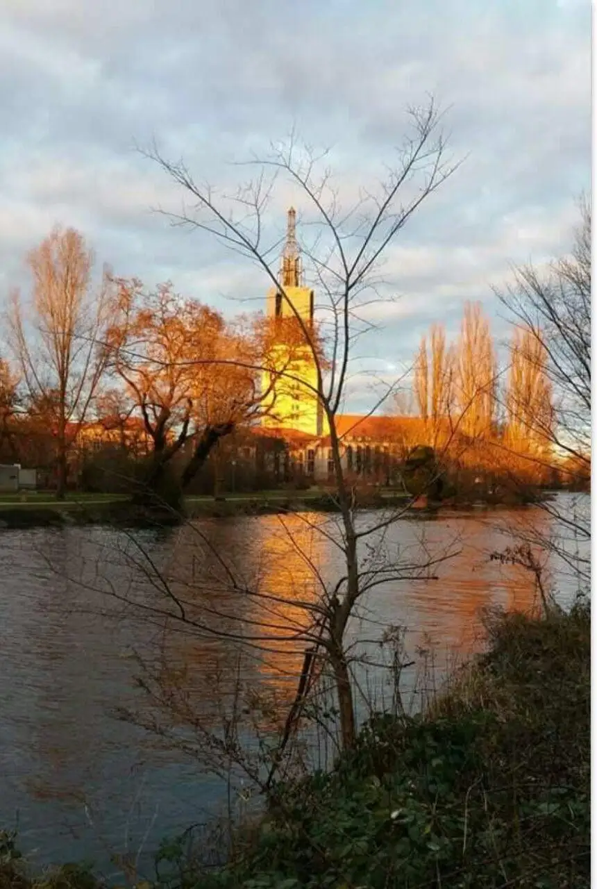 Blick über Wasser und Bäume zur Nikolaikirche im warmen Abendlicht.