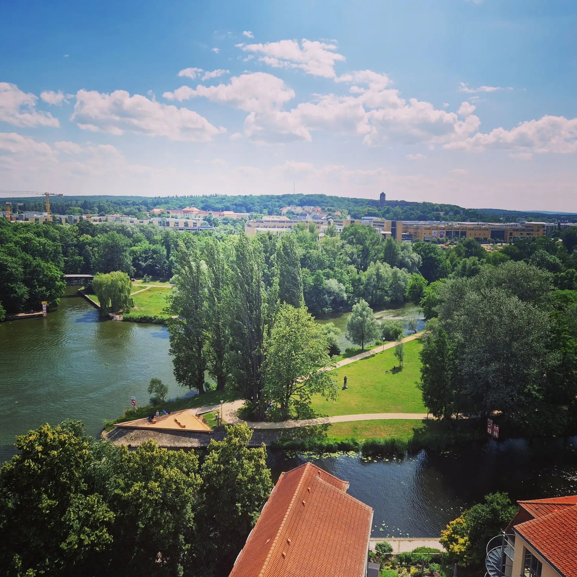 Weiter Blick vom Turm über Havel, Park und Baumkronen im Sommer.